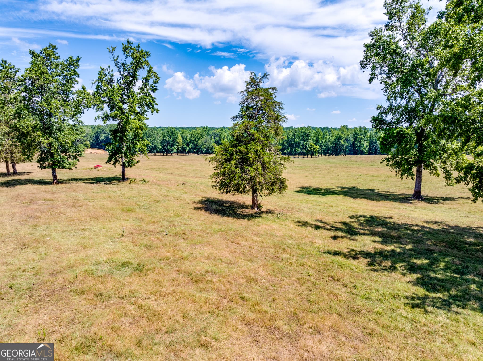 agriculture for sale at 1650 & 1620 Locklin Cemetery Road, Monroe, GA 30656 — photo 6