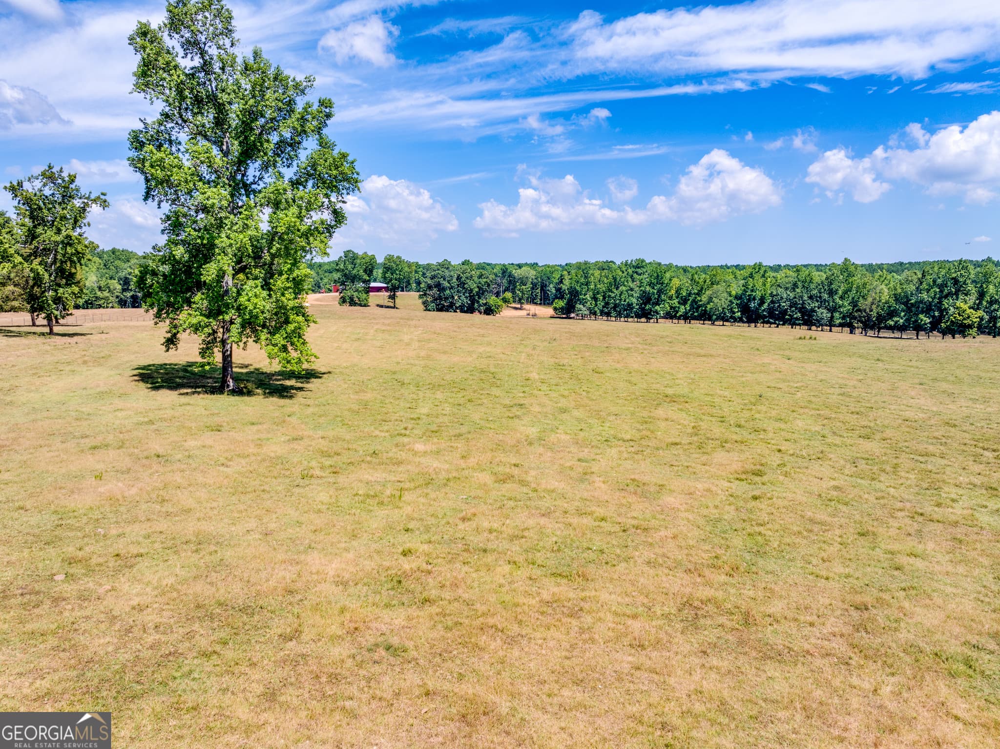 agriculture for sale at 1650 & 1620 Locklin Cemetery Road, Monroe, GA 30656 — photo 5