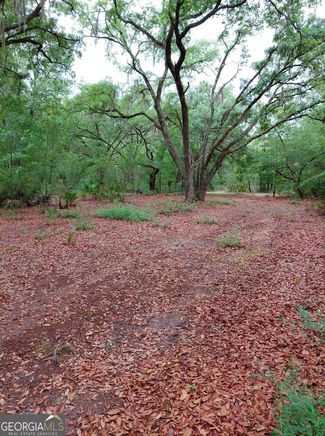 1 bedroom, 1 bathroom, 576 sq ft cabin,single family residence for sale at 779 Ralph Davis Road, Folkston, GA 31537 — photo 9