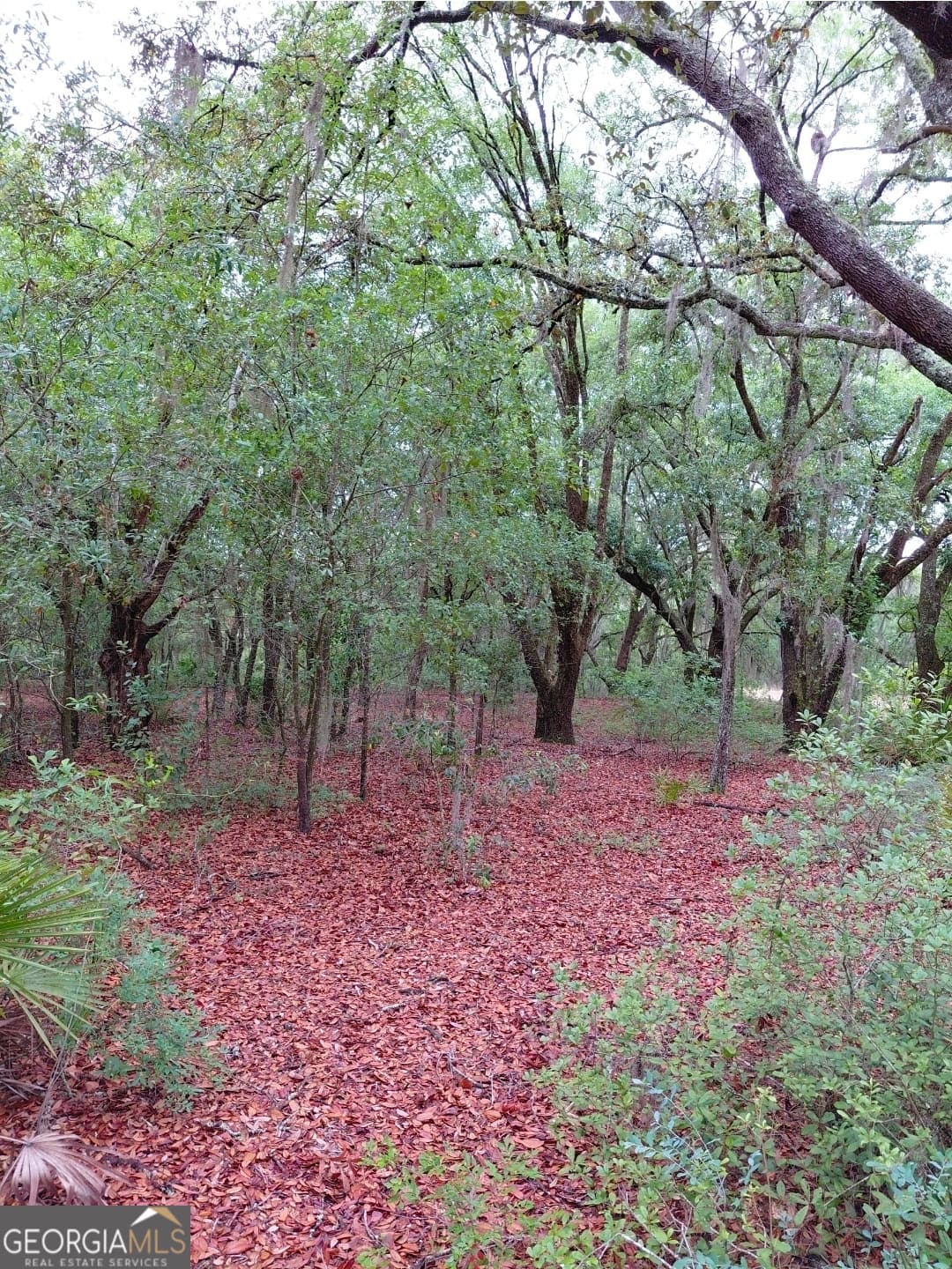 1 bedroom, 1 bathroom, 576 sq ft cabin,single family residence for sale at 779 Ralph Davis Road, Folkston, GA 31537 — photo 10