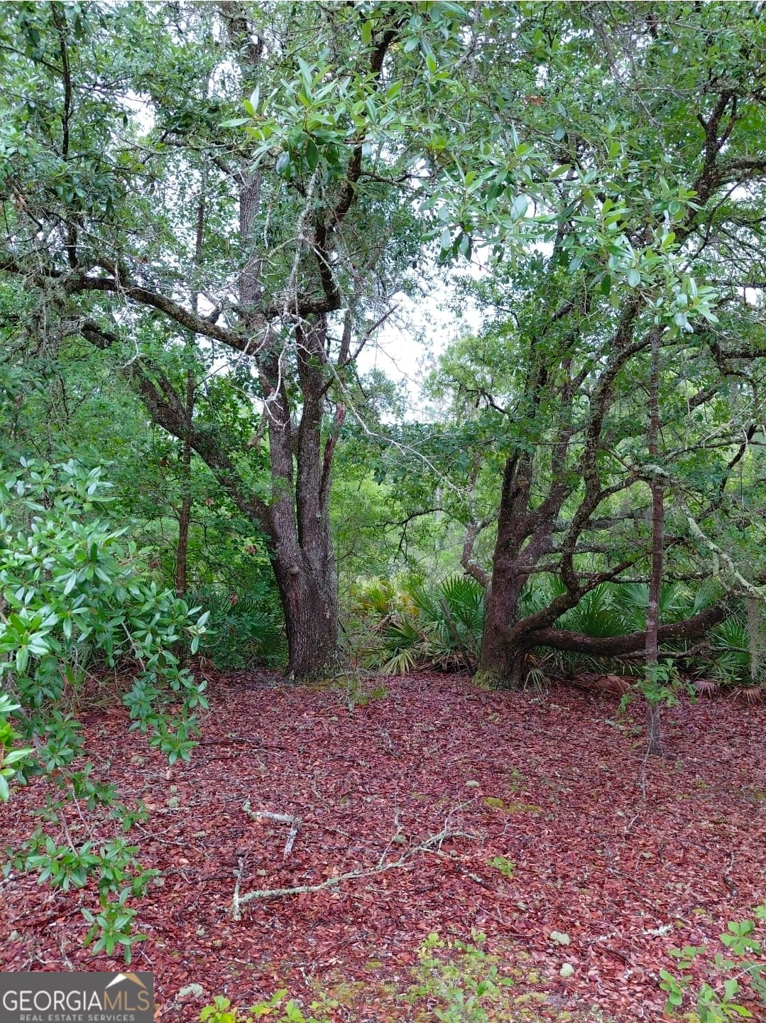 1 bedroom, 1 bathroom, 576 sq ft cabin,single family residence for sale at 779 Ralph Davis Road, Folkston, GA 31537 — photo 4
