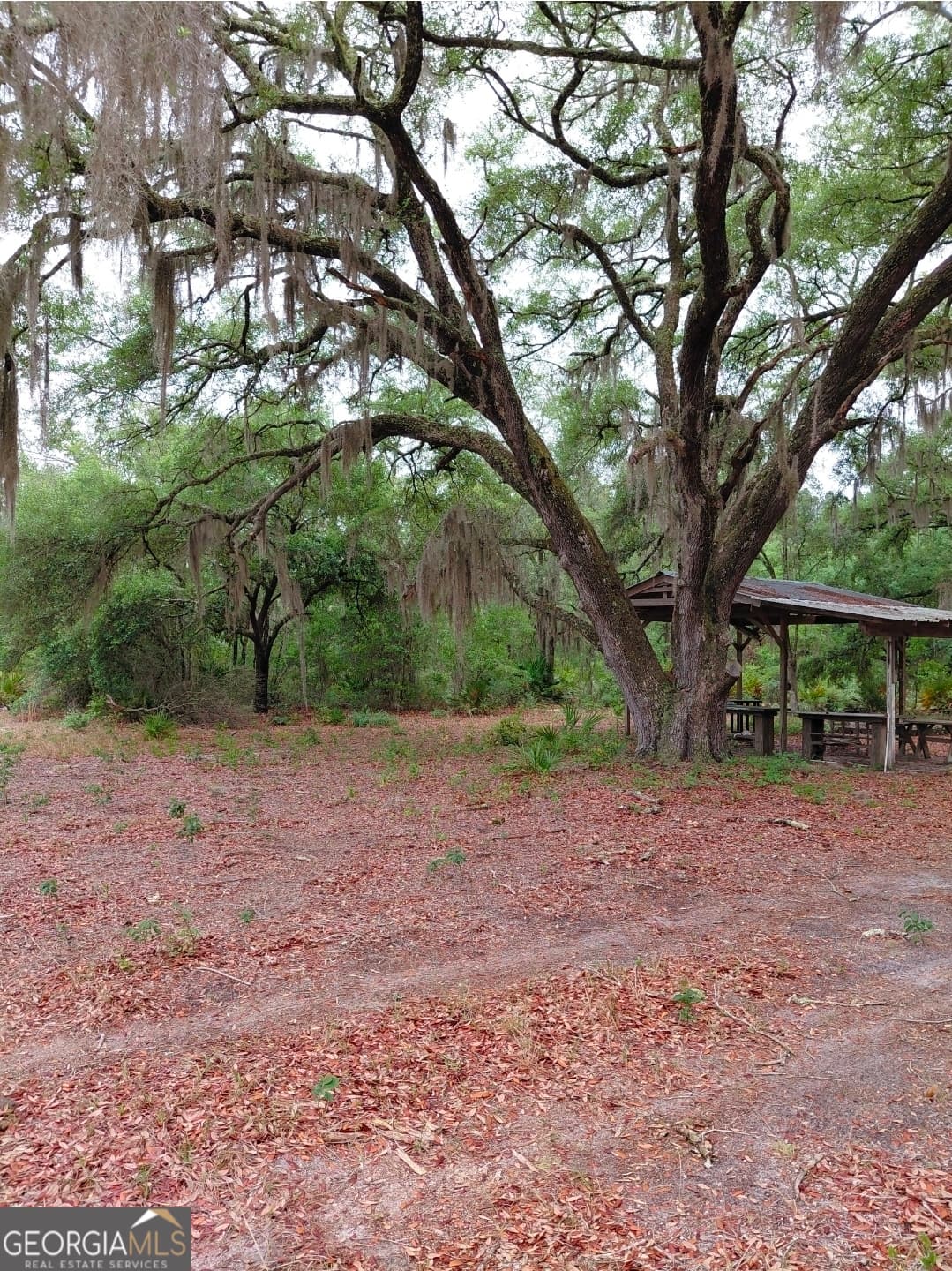 1 bedroom, 1 bathroom, 576 sq ft cabin,single family residence for sale at 779 Ralph Davis Road, Folkston, GA 31537 — photo 8