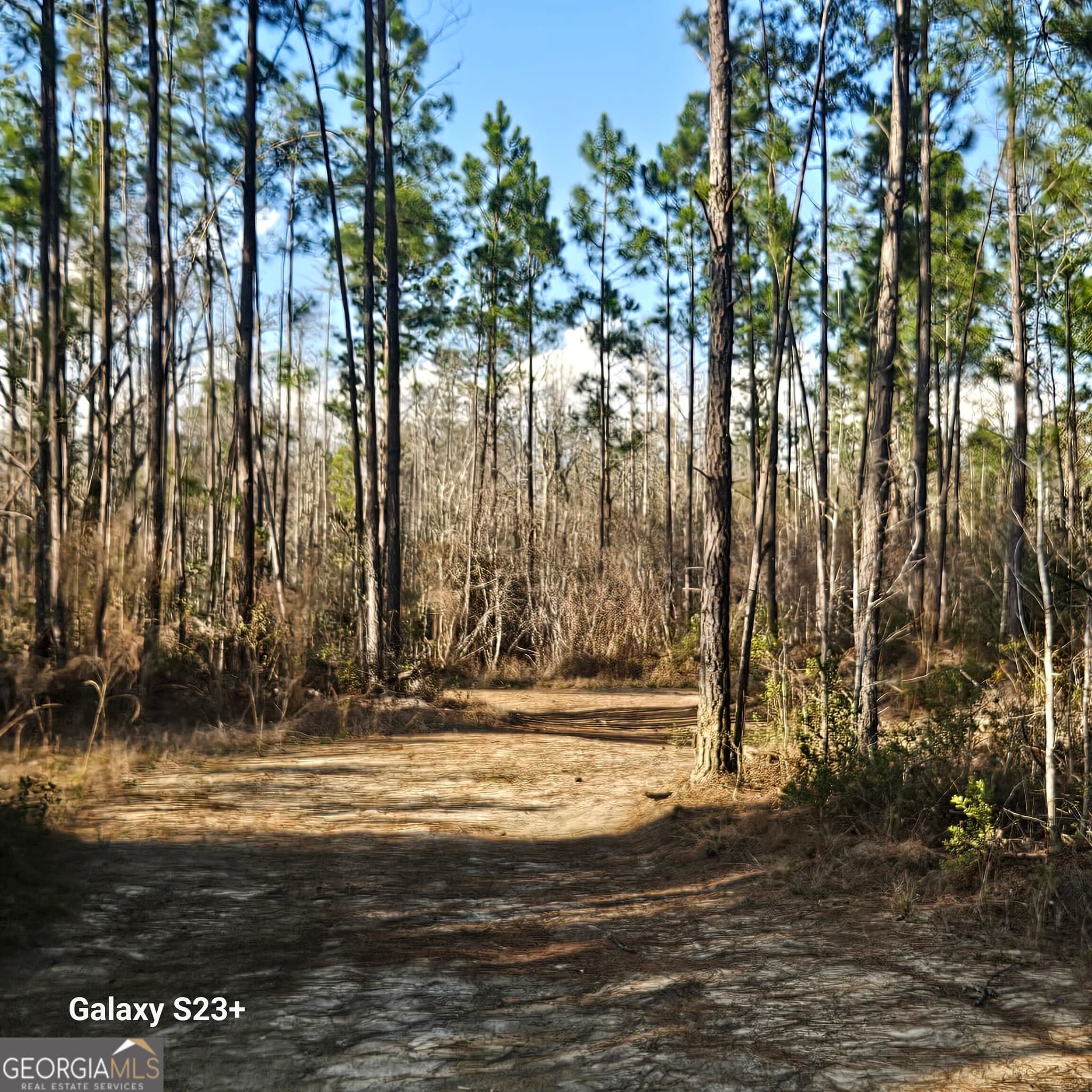 agriculture for sale at 0 Mill Branch Club Road LOT 1R, Nevils, GA 31321 — photo 2
