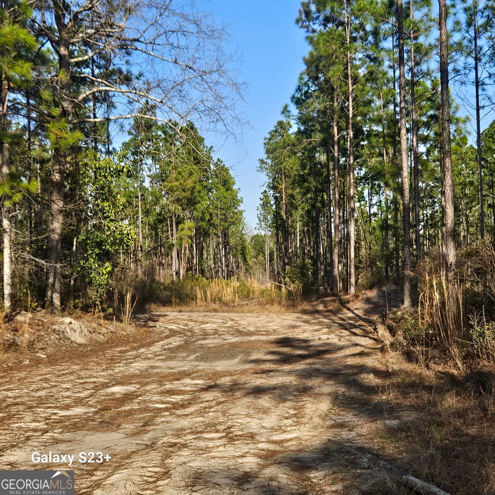 agriculture for sale at 0 Mill Branch Club Road LOT 1R, Nevils, GA 31321