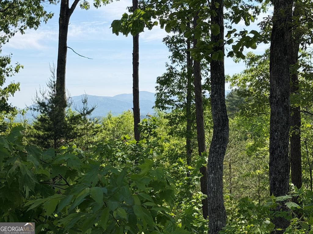 residential lot for sale at LOT 31 Summit View Lane, Ellijay, GA 30540 — photo 1 of 31
