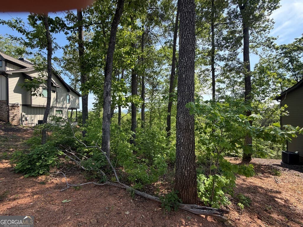 residential lot for sale at LOT 31 Summit View Lane, Ellijay, GA 30540 — photo 5