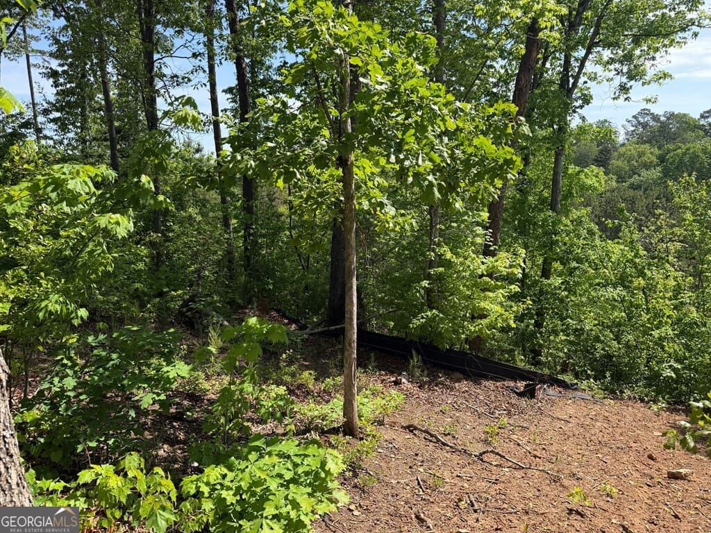 residential lot for sale at LOT 31 Summit View Lane, Ellijay, GA 30540 — photo 9