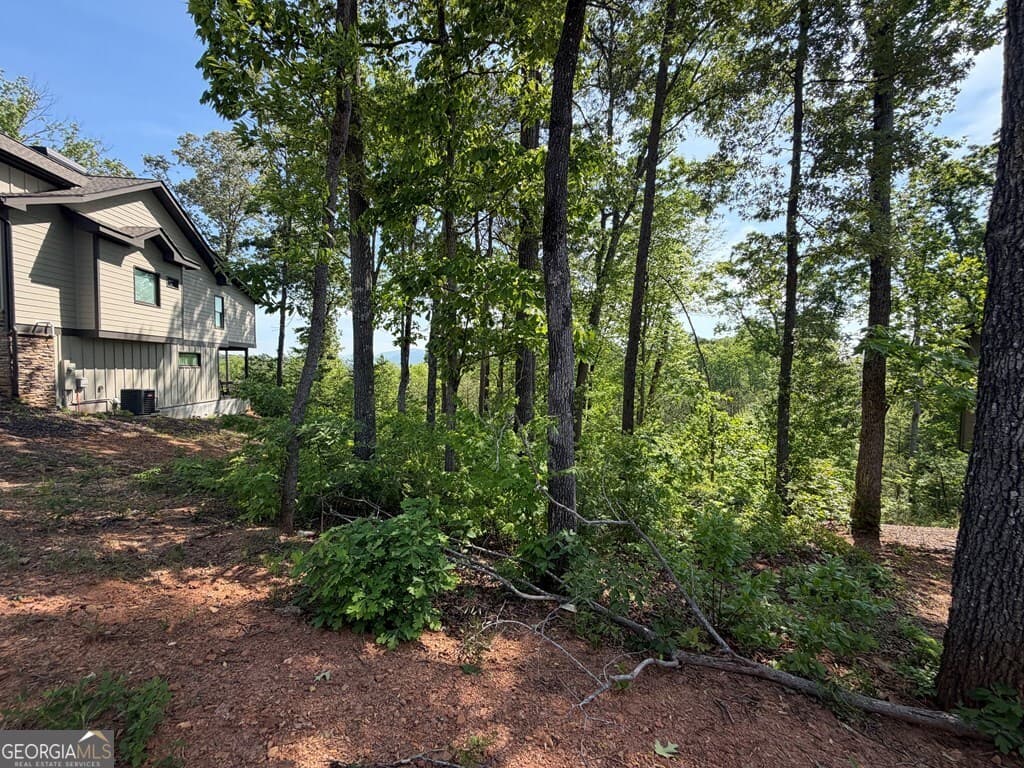 residential lot for sale at LOT 31 Summit View Lane, Ellijay, GA 30540 — photo 4