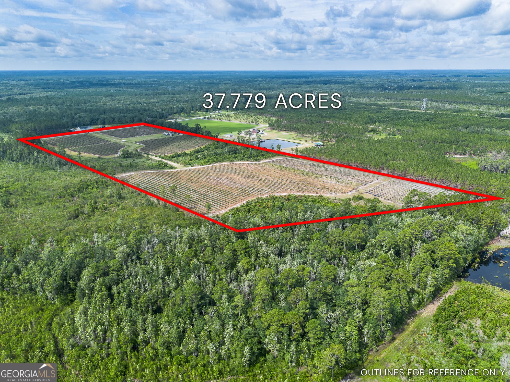agriculture for sale at 7848 Trudie Road, Patterson, GA 31557 — photo 2