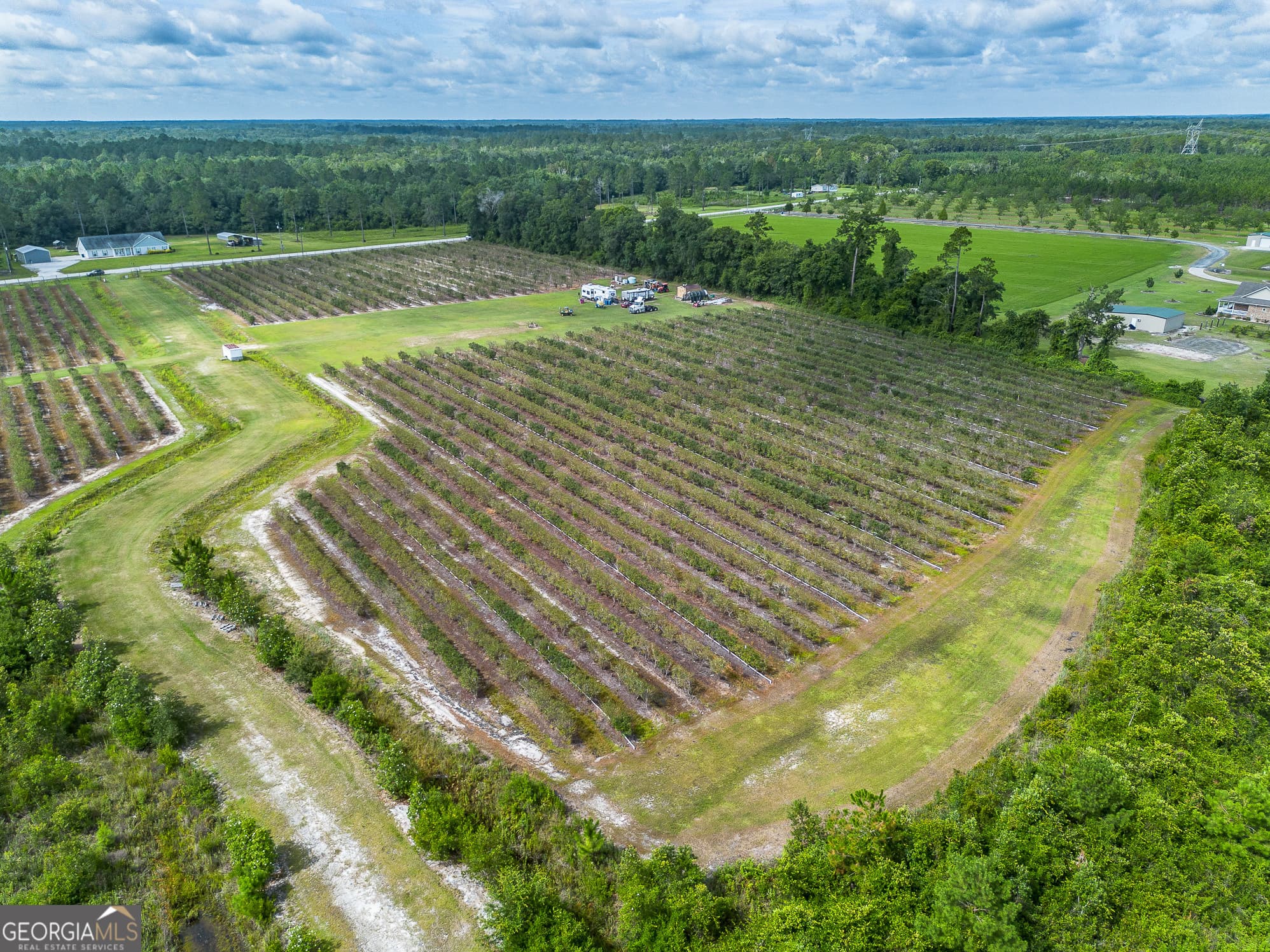agriculture for sale at 7848 Trudie Road, Patterson, GA 31557 — photo 7