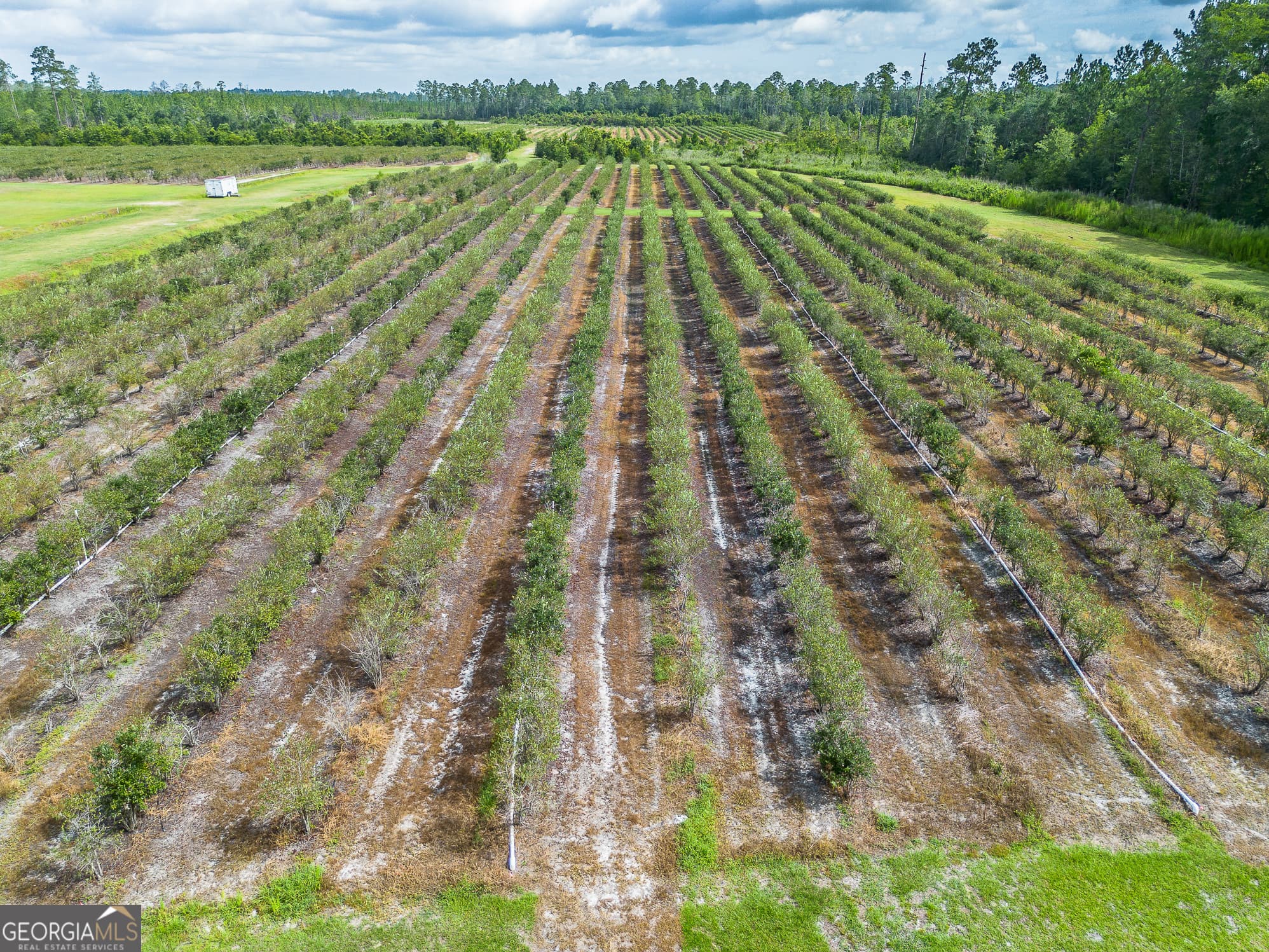 agriculture for sale at 7848 Trudie Road, Patterson, GA 31557 — photo 5