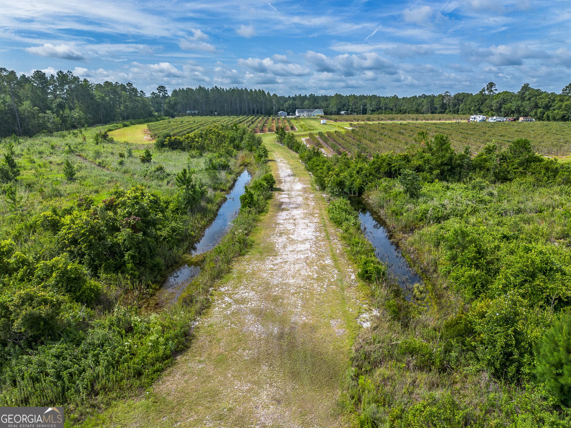 agriculture for sale at 7848 Trudie Road, Patterson, GA 31557 — photo 9