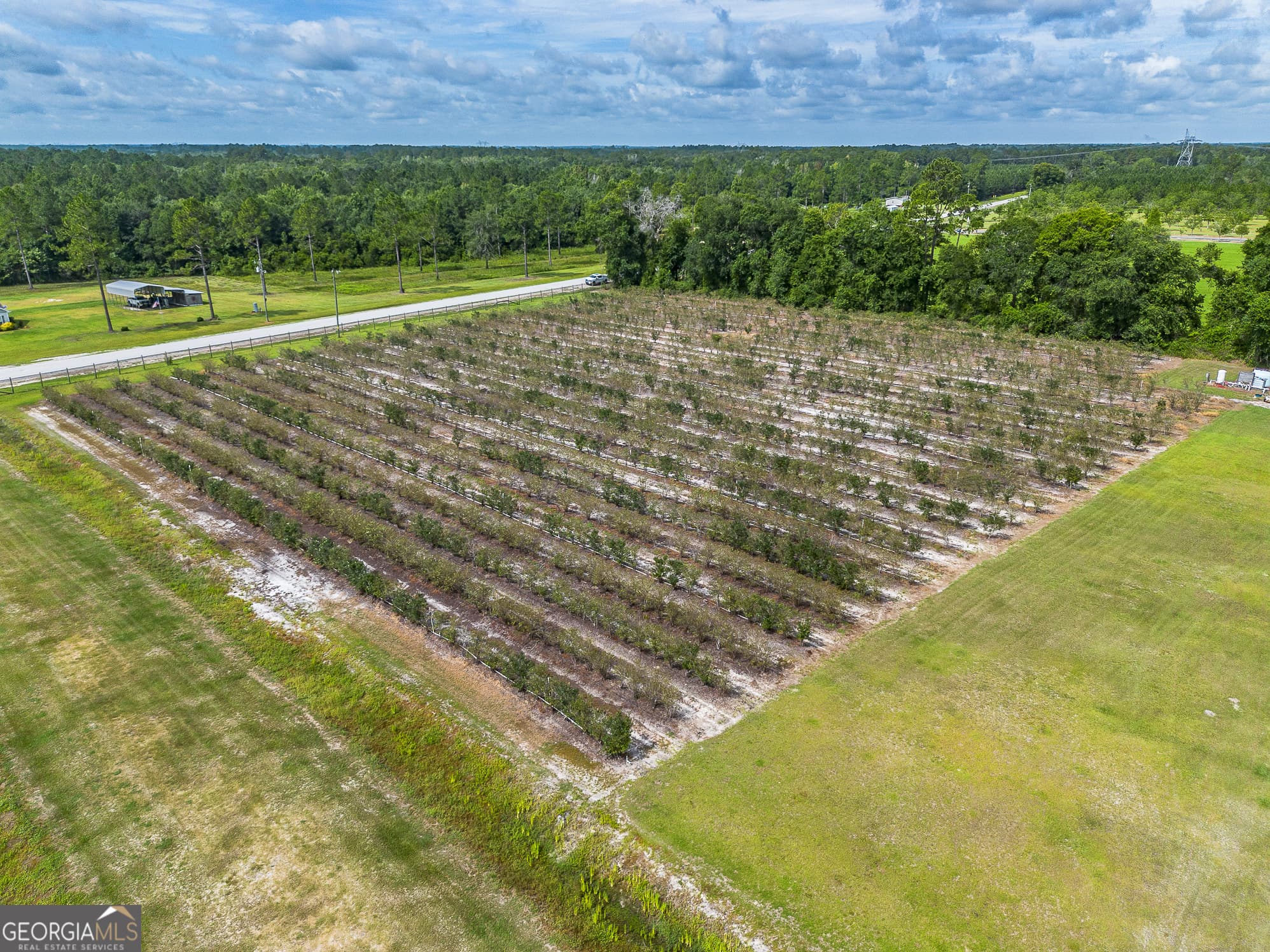 agriculture for sale at 7848 Trudie Road, Patterson, GA 31557 — photo 10