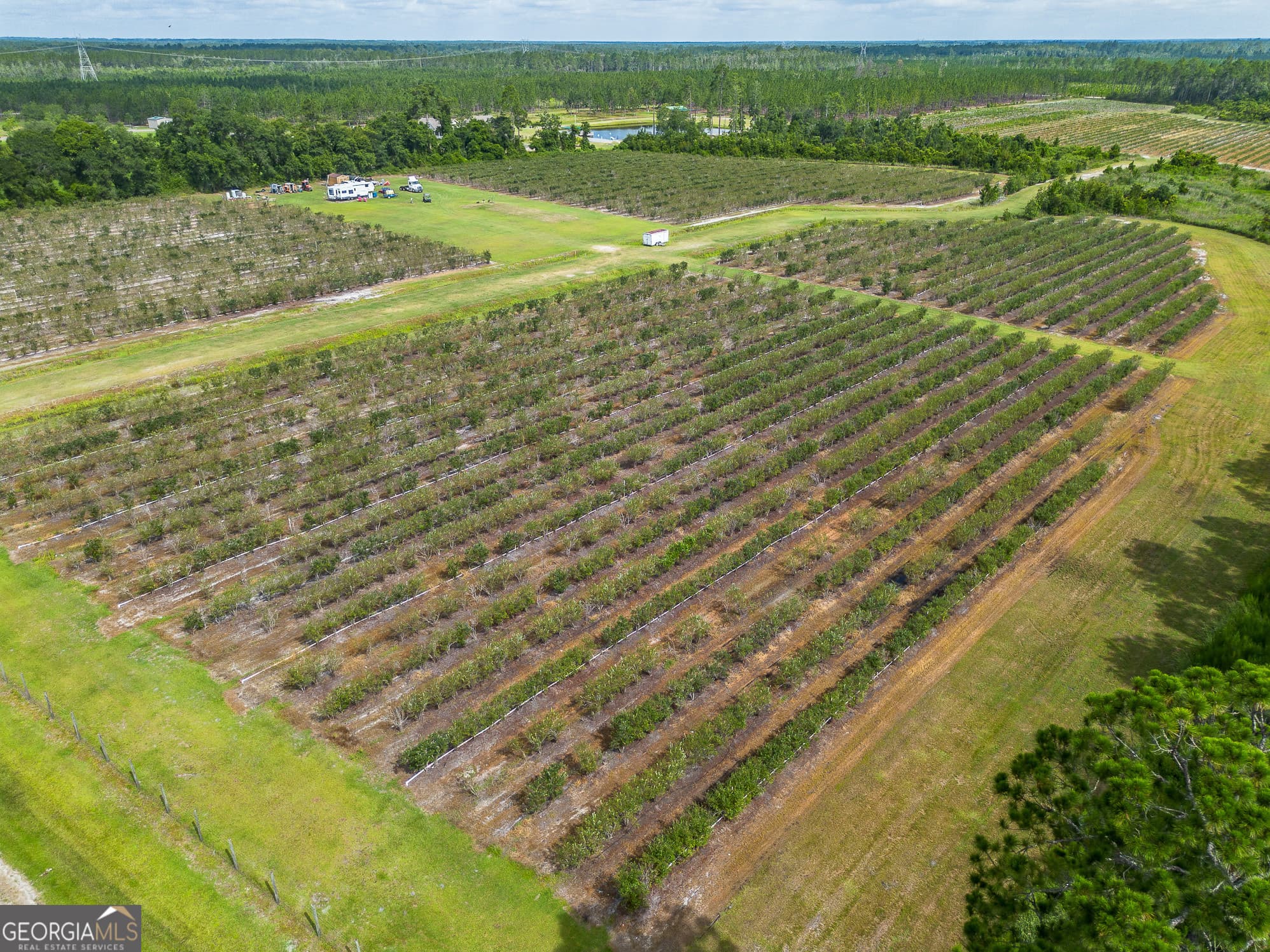 agriculture for sale at 7848 Trudie Road, Patterson, GA 31557 — photo 4