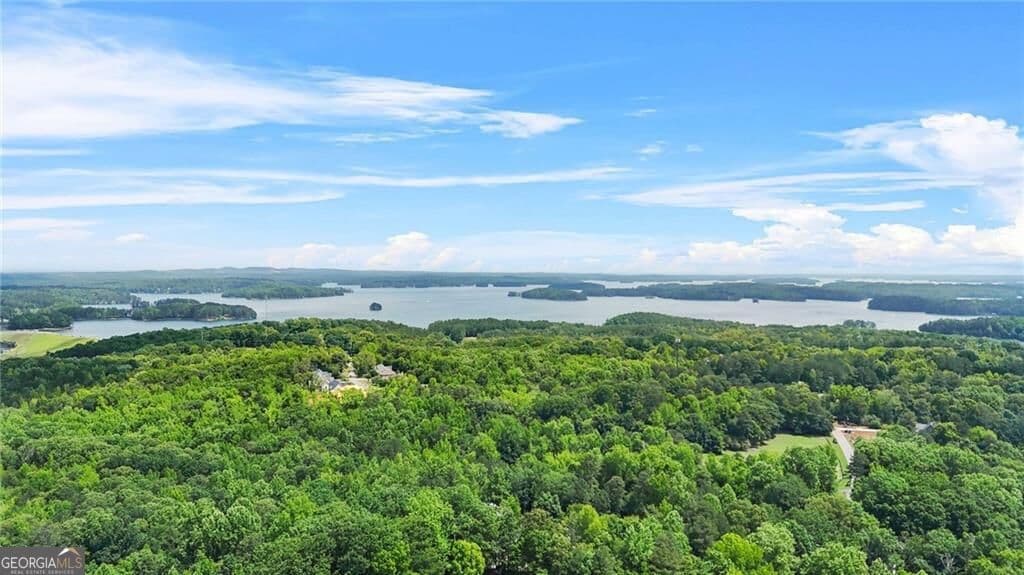 4 bedroom, 3 bathroom, 3,150 sq ft single family residence for sale at 1038 Island View Court, Buford, GA 30518 — photo 9