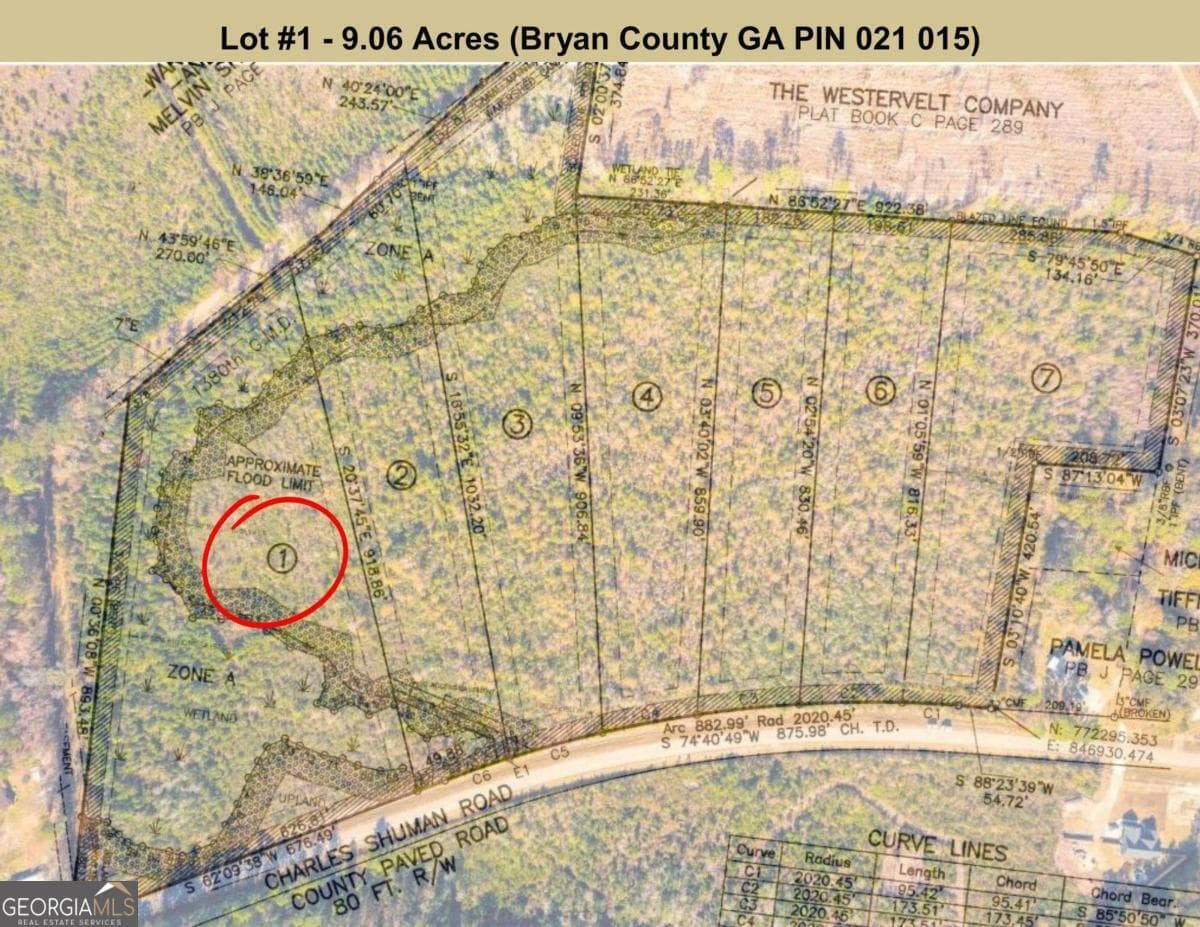 residential lot for sale at LOT 1 Charles Shuman Road, Pembroke, GA 31321 — photo 2