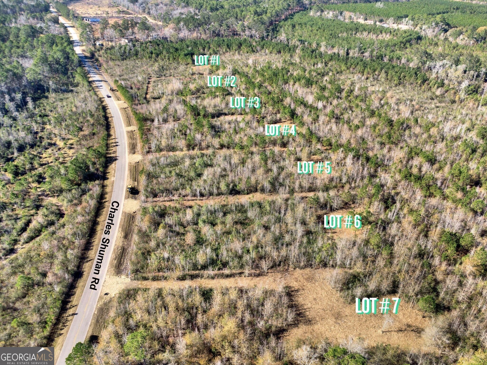 residential lot for sale at LOT 1 Charles Shuman Road, Pembroke, GA 31321 — photo 5