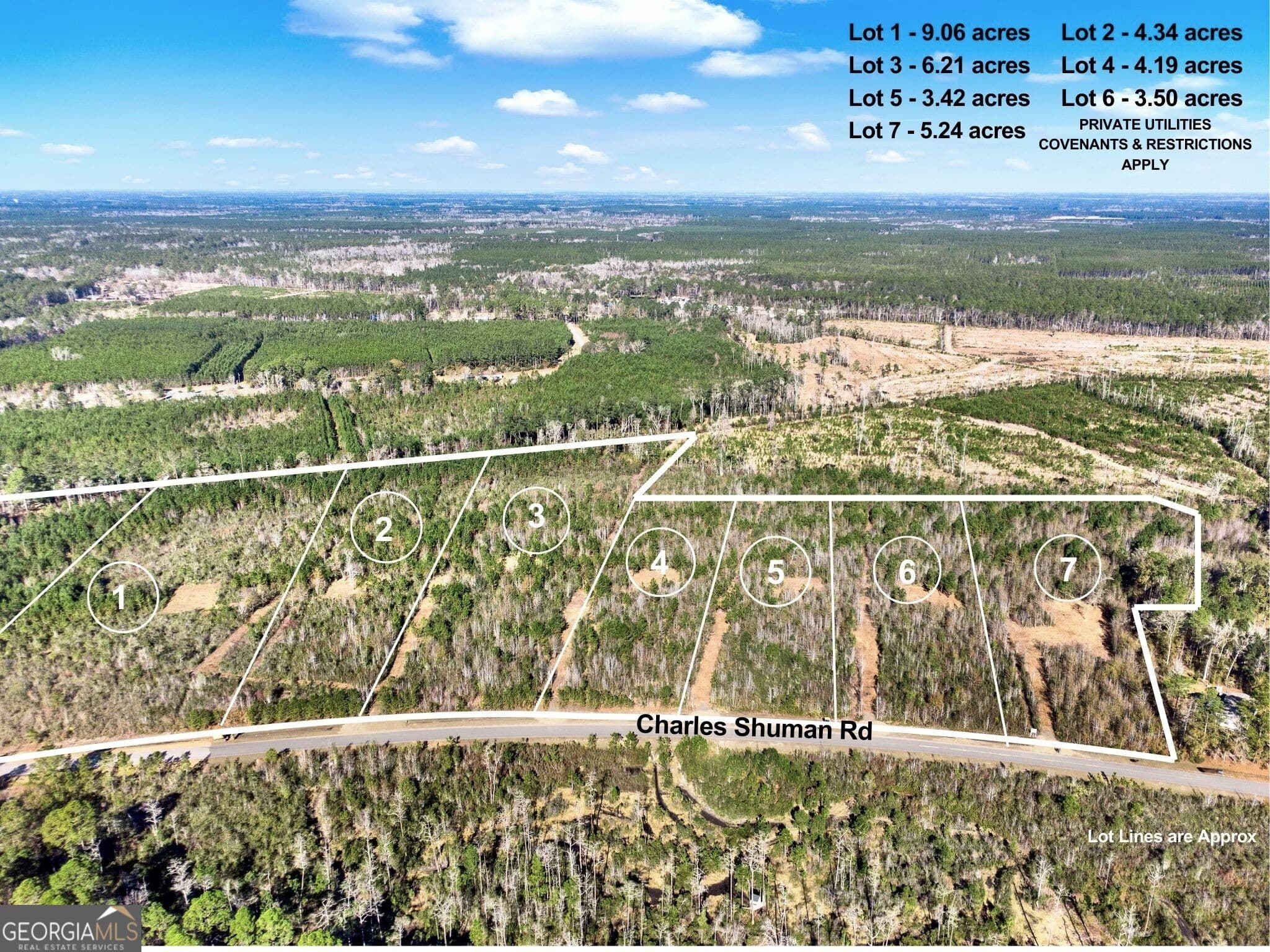 residential lot for sale at LOT 1 Charles Shuman Road, Pembroke, GA 31321 — photo 4