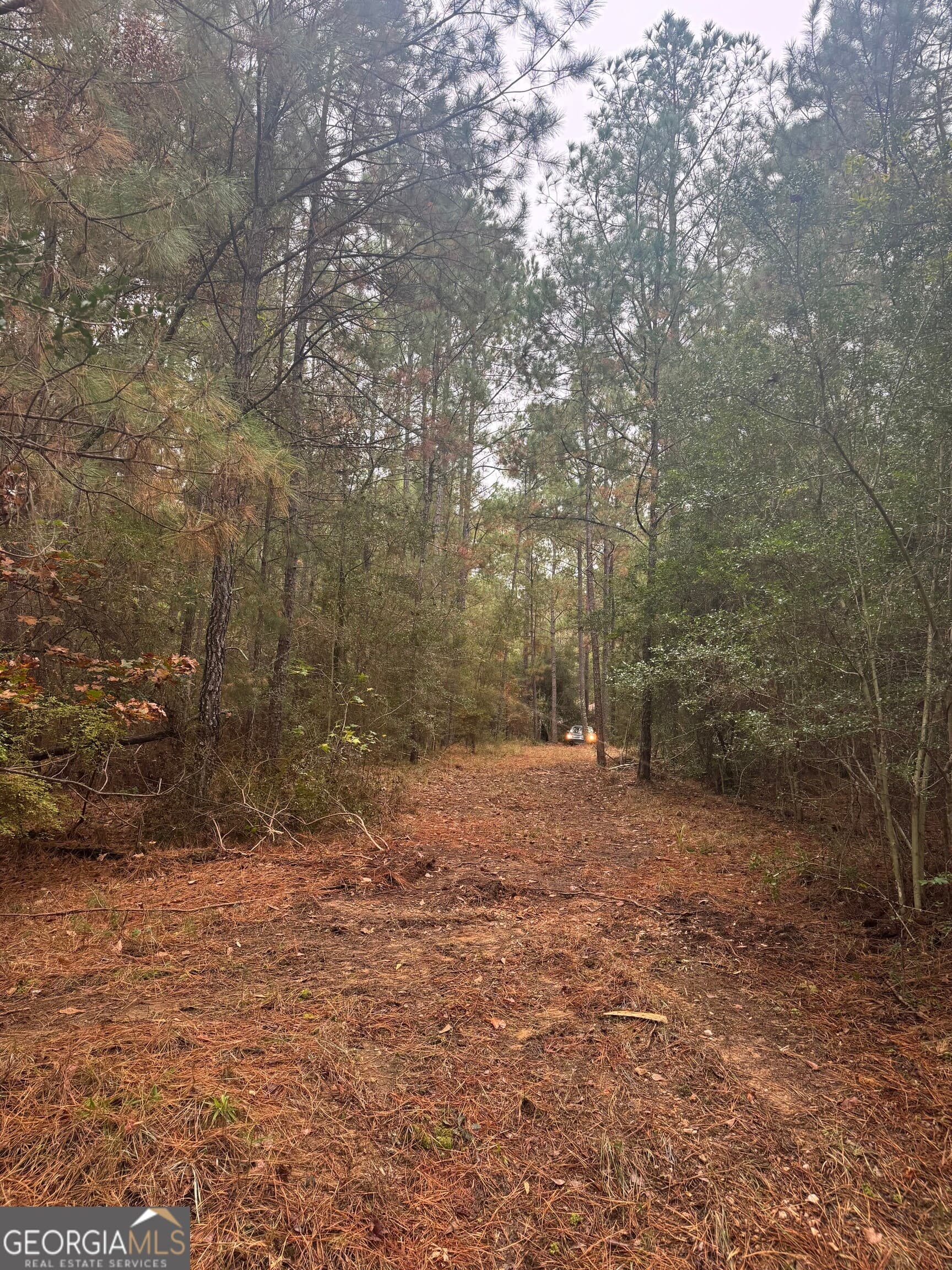 unimproved land for sale at 1949 Deerwood Place, Macon, GA 31211 — photo 6