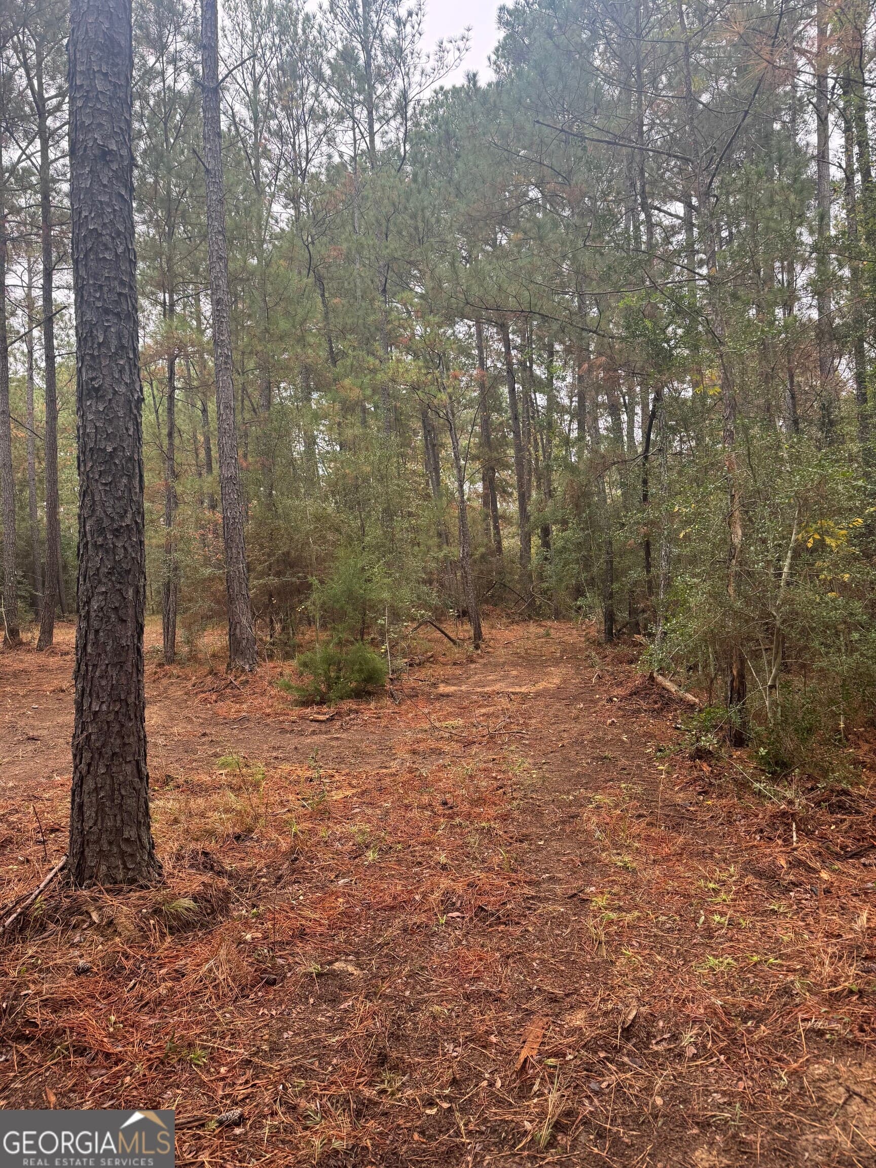 unimproved land for sale at 1949 Deerwood Place, Macon, GA 31211 — photo 5
