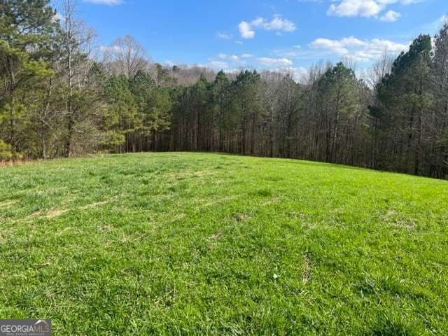 agriculture for sale at 3011 Mark Foster Road, Talking Rock, GA 30175 — photo 2