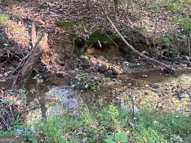 agriculture for sale at 3011 Mark Foster Road, Talking Rock, GA 30175 — photo 6