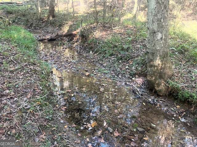 agriculture for sale at 3011 Mark Foster Road, Talking Rock, GA 30175 — photo 7