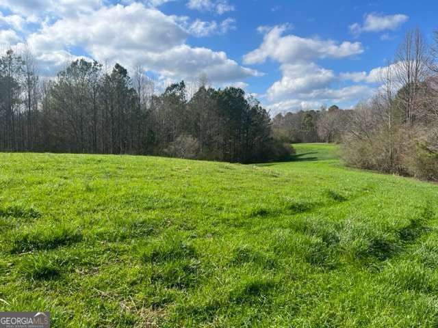 agriculture for sale at 3011 Mark Foster Road, Talking Rock, GA 30175 — photo 3
