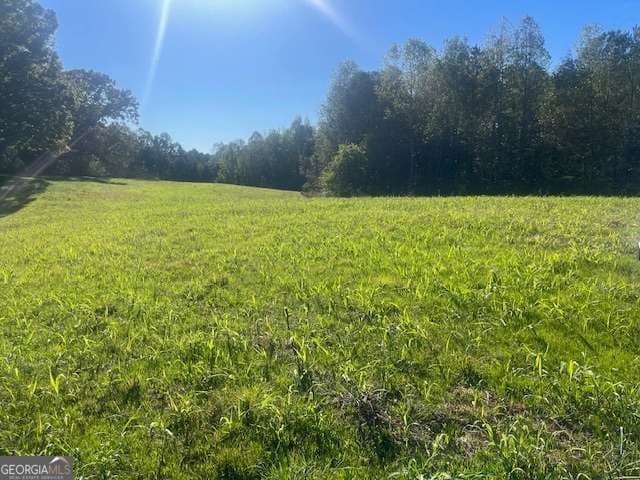 agriculture for sale at 3011 Mark Foster Road, Talking Rock, GA 30175 — photo 1 of 7