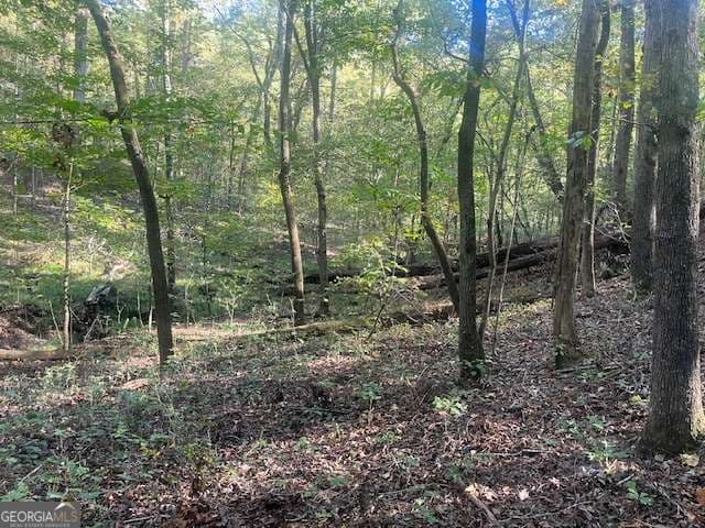 agriculture for sale at 3011 Mark Foster Road, Talking Rock, GA 30175 — photo 4