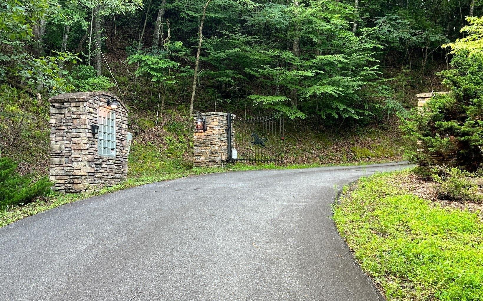 residential lot for sale at LOT 13 Preserve At Beach Mountain, Brasstown, NC 28902 — photo 2