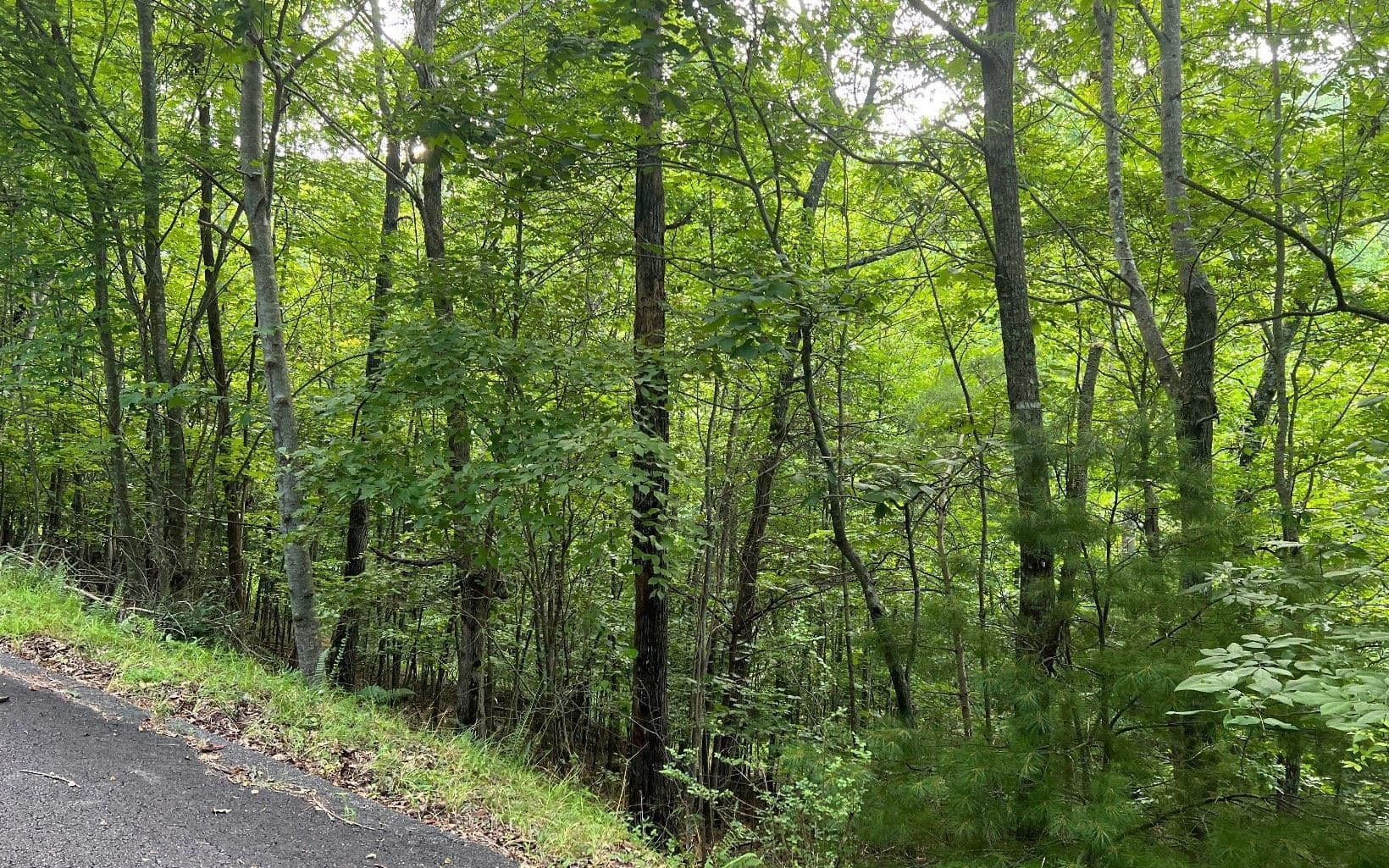 residential lot for sale at LOT 13 Preserve At Beach Mountain, Brasstown, NC 28902 — photo 6