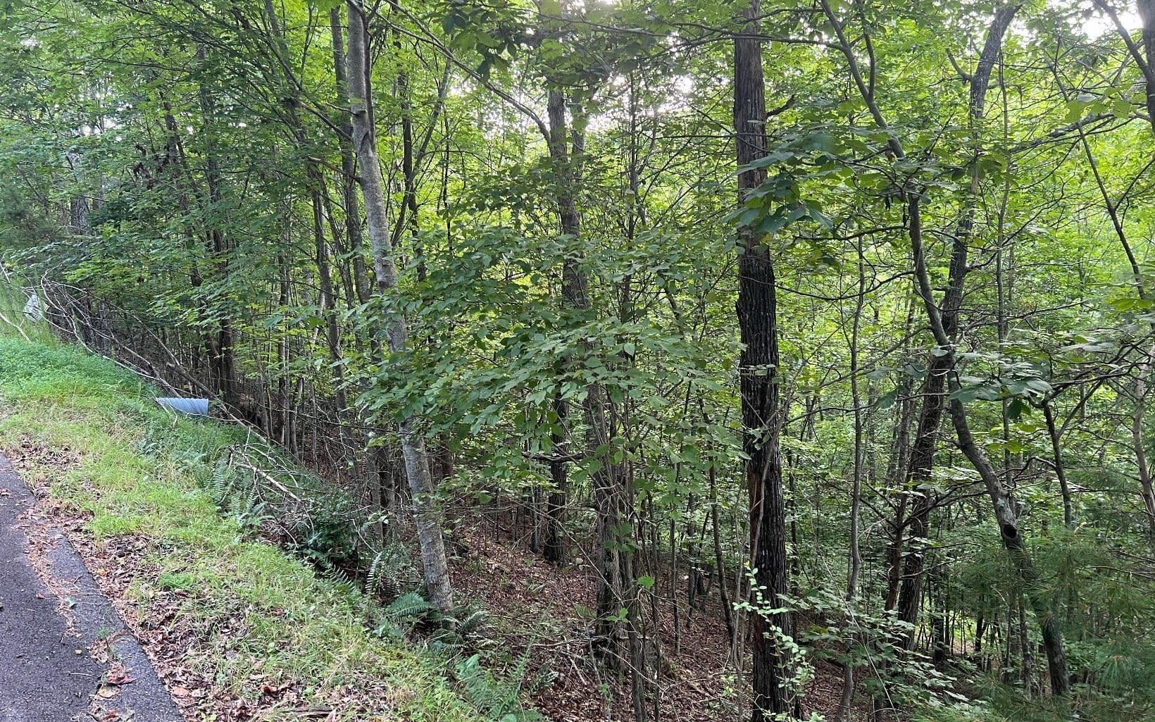 residential lot for sale at LOT 13 Preserve At Beach Mountain, Brasstown, NC 28902 — photo 3