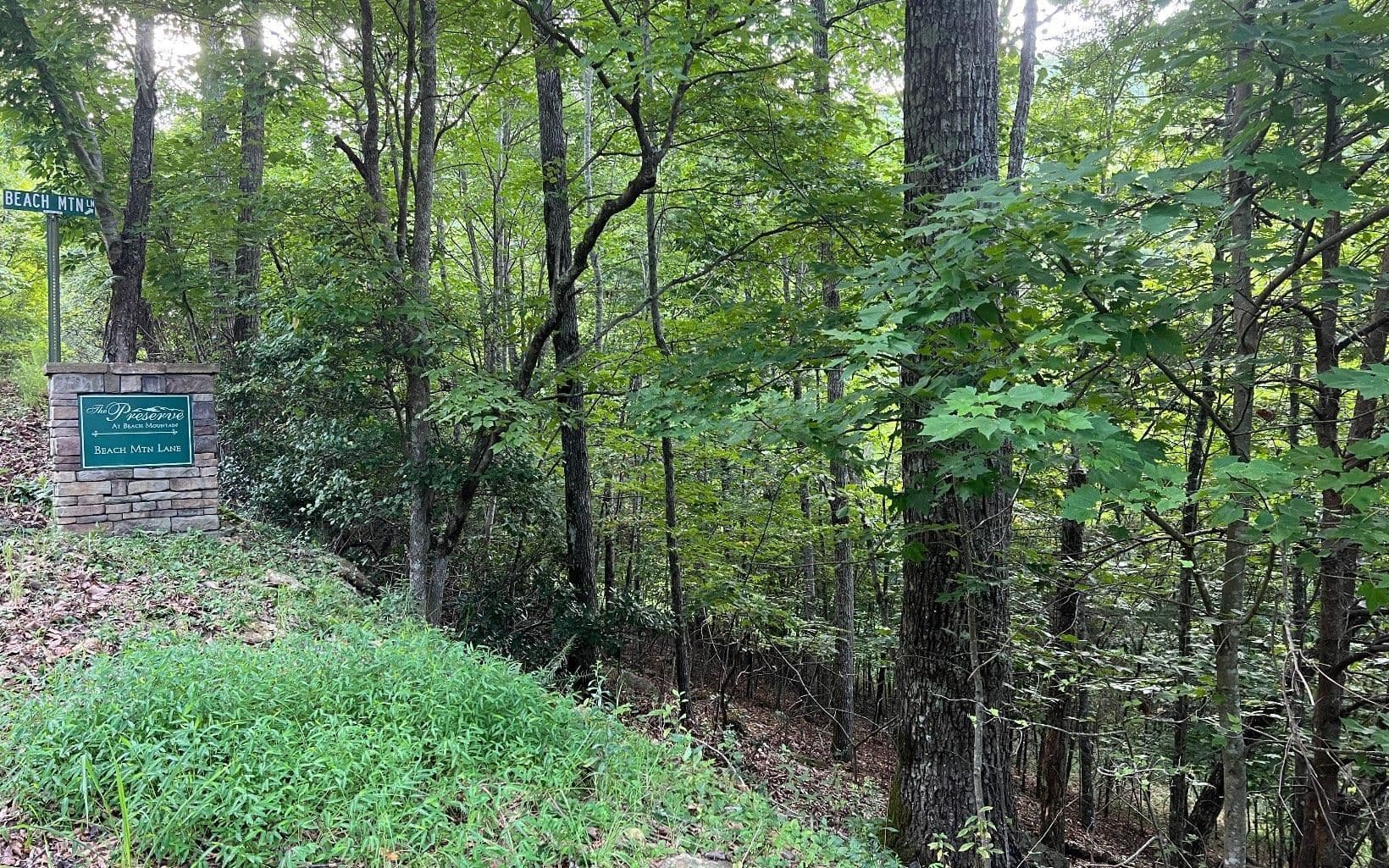 residential lot for sale at LOT 13 Preserve At Beach Mountain, Brasstown, NC 28902 — photo 5
