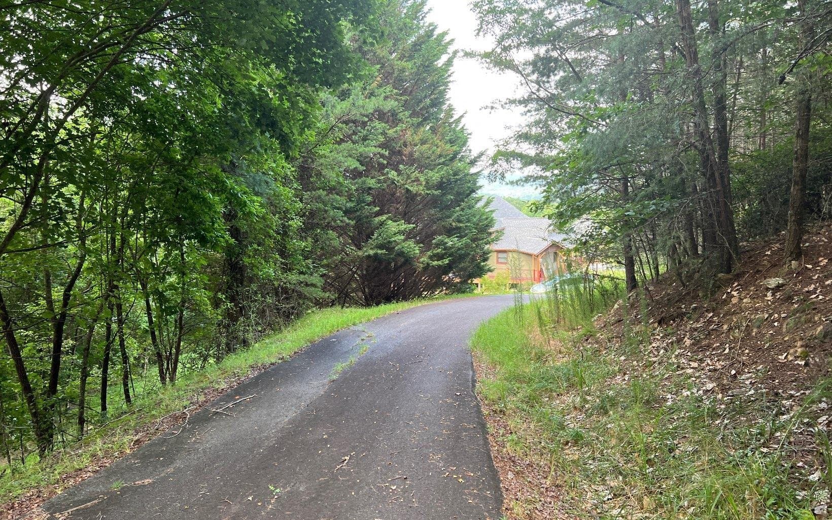 residential lot for sale at LOT 13 Preserve At Beach Mountain, Brasstown, NC 28902 — photo 9