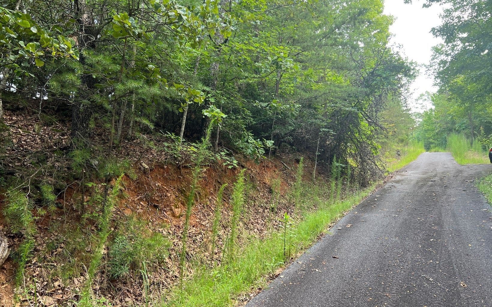 residential lot for sale at LOT 13 Preserve At Beach Mountain, Brasstown, NC 28902 — photo 10