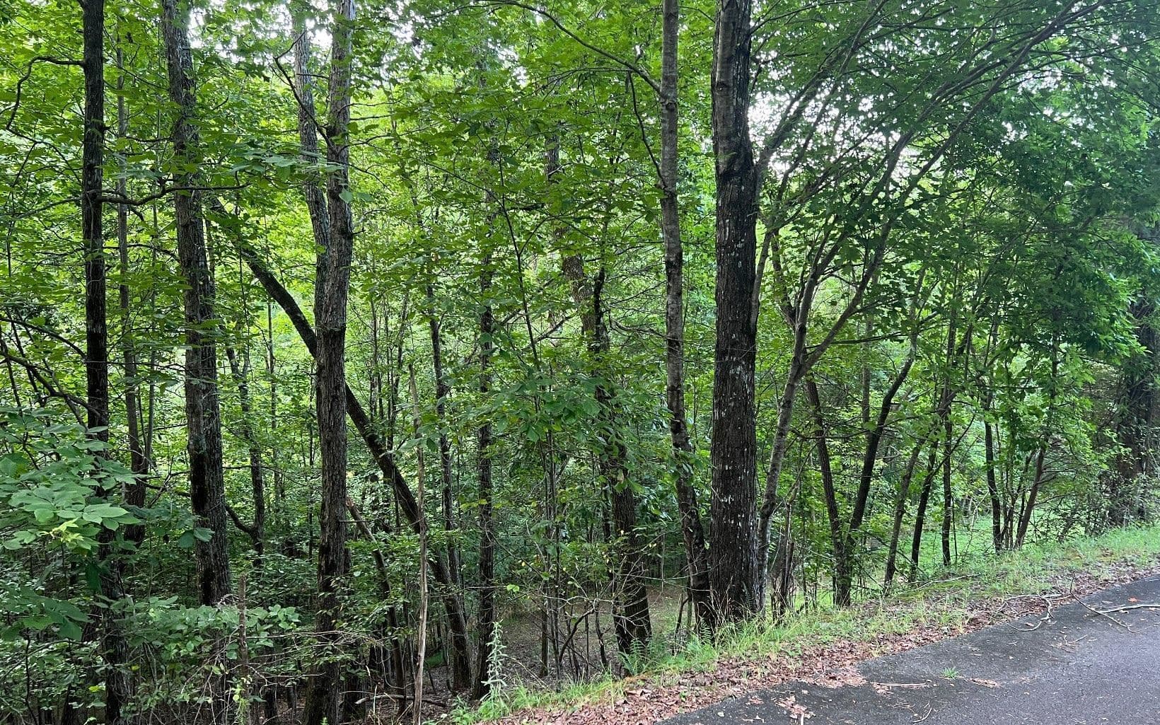 residential lot for sale at LOT 13 Preserve At Beach Mountain, Brasstown, NC 28902 — photo 8