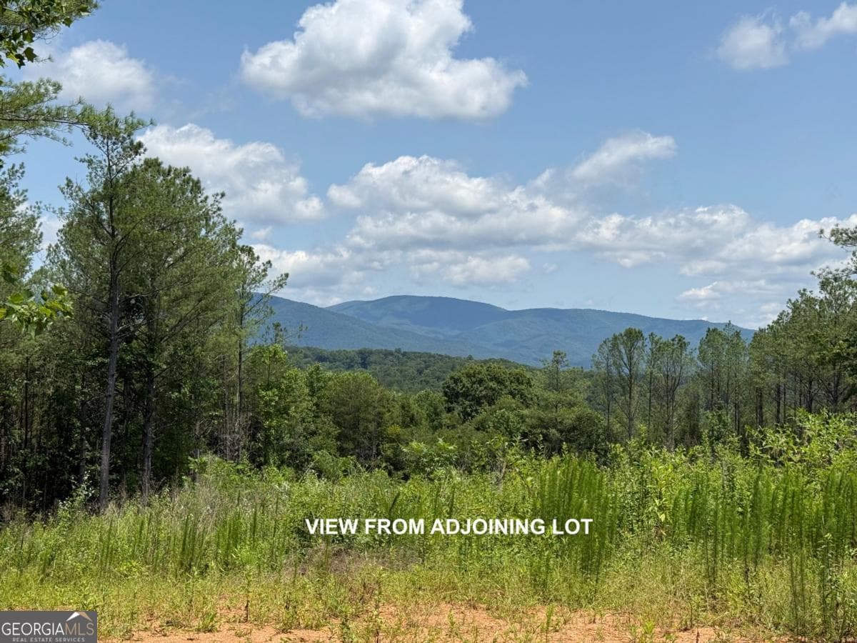 residential lot for sale at LOT E9 Reece Mountain Road, Ellijay, GA 30536 — photo 2