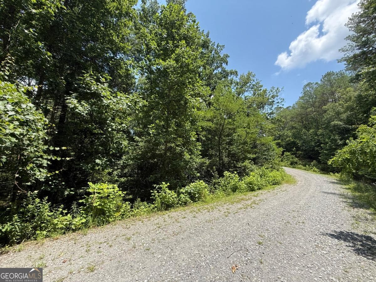 residential lot for sale at LOT E9 Reece Mountain Road, Ellijay, GA 30536 — photo 6