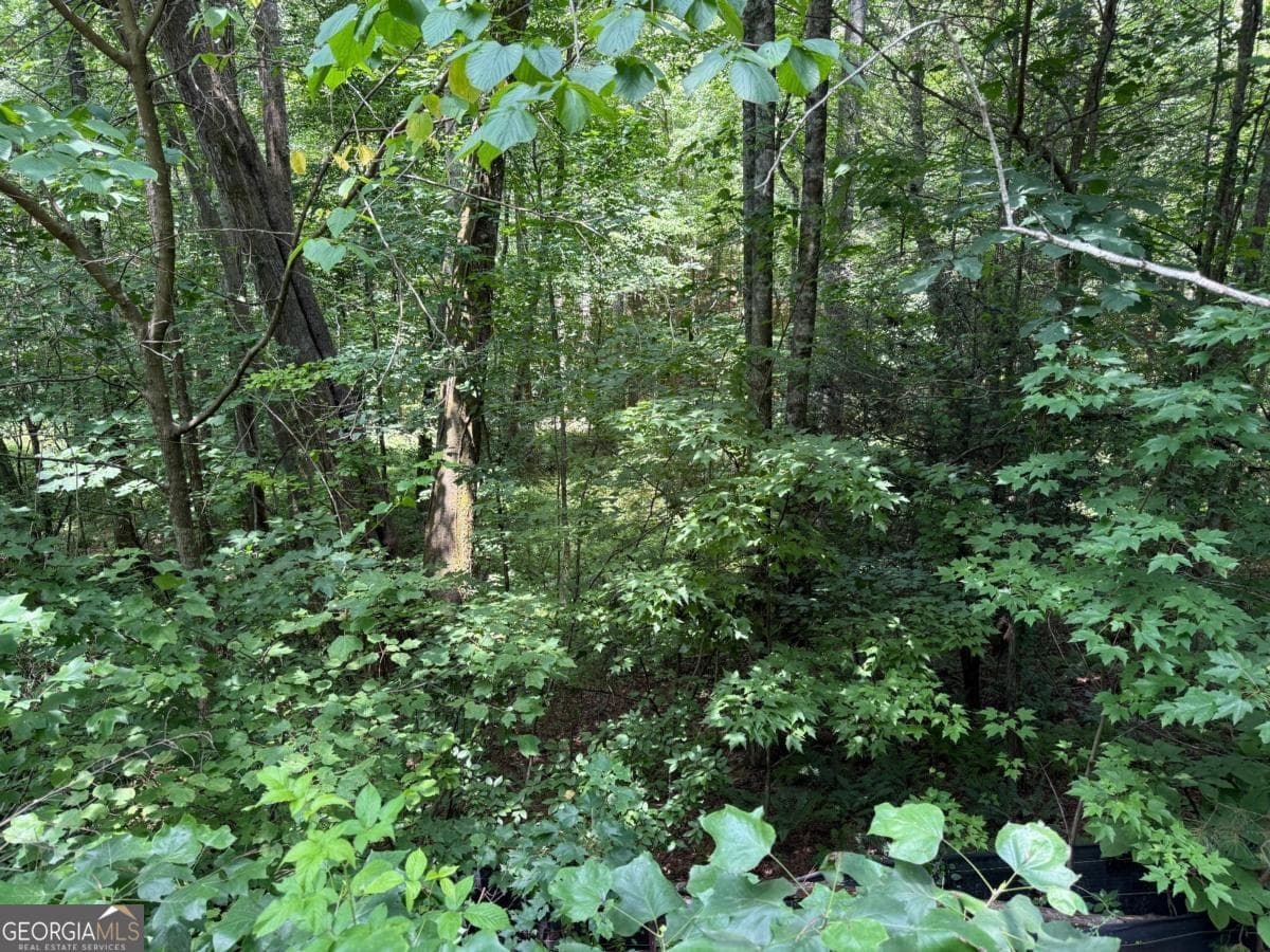 residential lot for sale at LOT E9 Reece Mountain Road, Ellijay, GA 30536 — photo 7