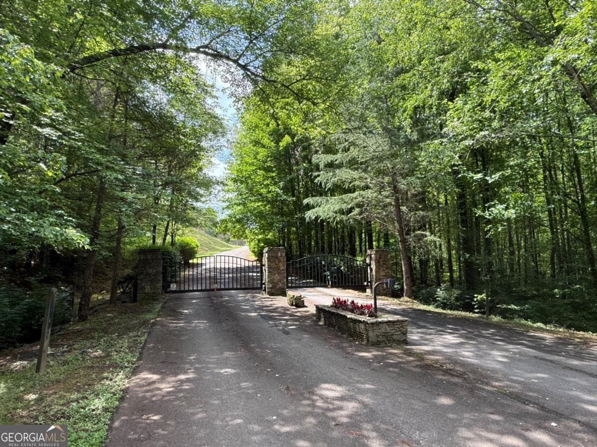 residential lot for sale at LOT E9 Reece Mountain Road, Ellijay, GA 30536 — photo 3