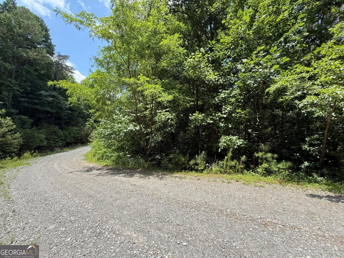 residential lot for sale at LOT E9 Reece Mountain Road, Ellijay, GA 30536 — photo 1 of 18