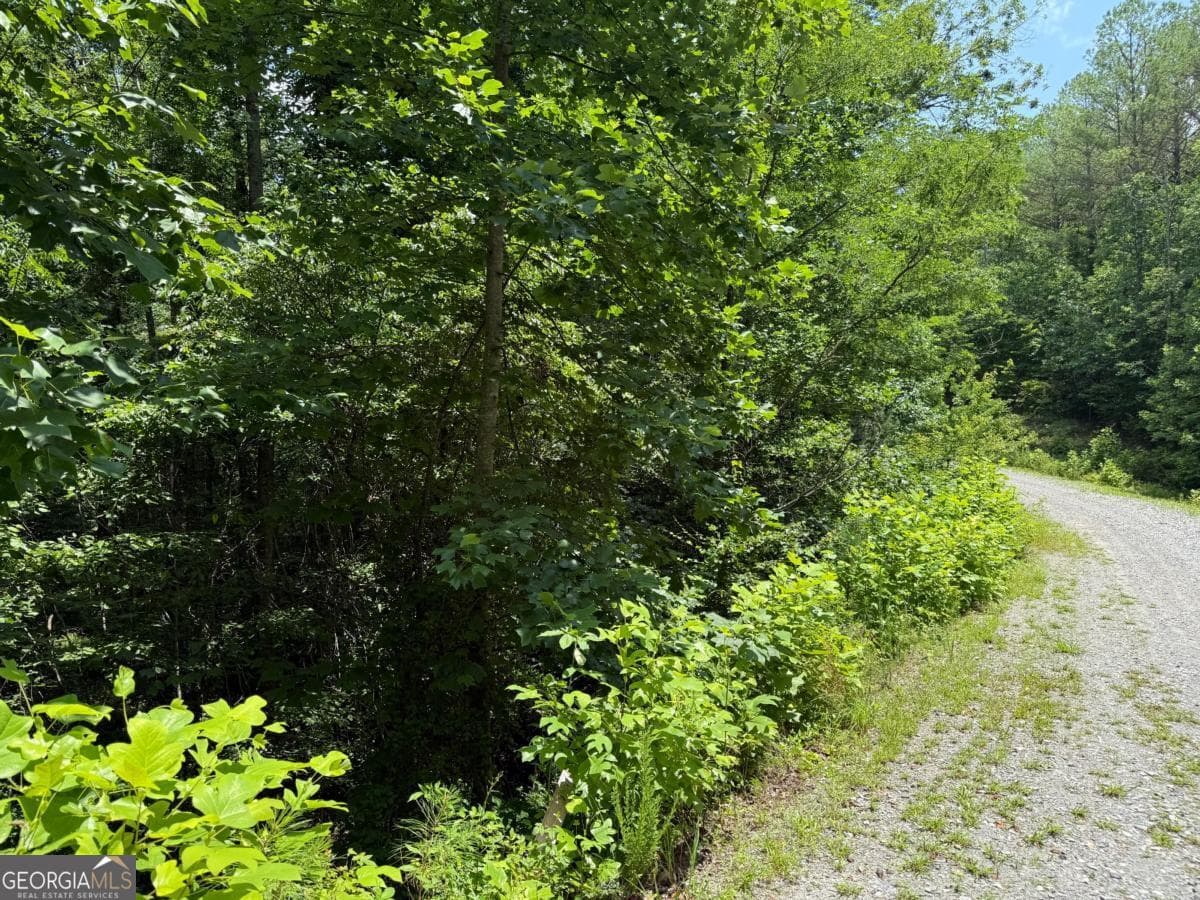 residential lot for sale at LOT E9 Reece Mountain Road, Ellijay, GA 30536 — photo 5