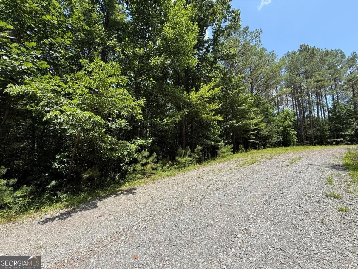 residential lot for sale at LOT E9 Reece Mountain Road, Ellijay, GA 30536 — photo 9