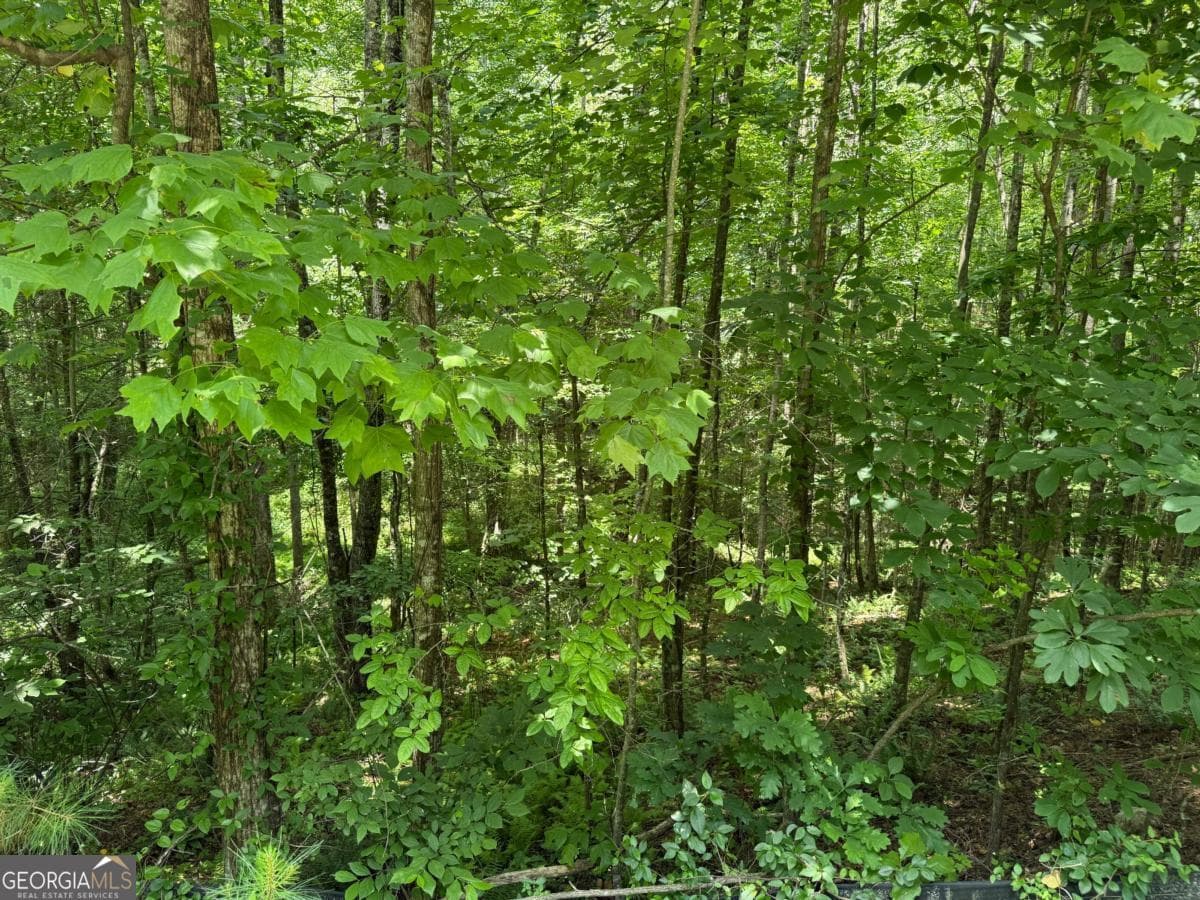 residential lot for sale at LOT E9 Reece Mountain Road, Ellijay, GA 30536 — photo 10