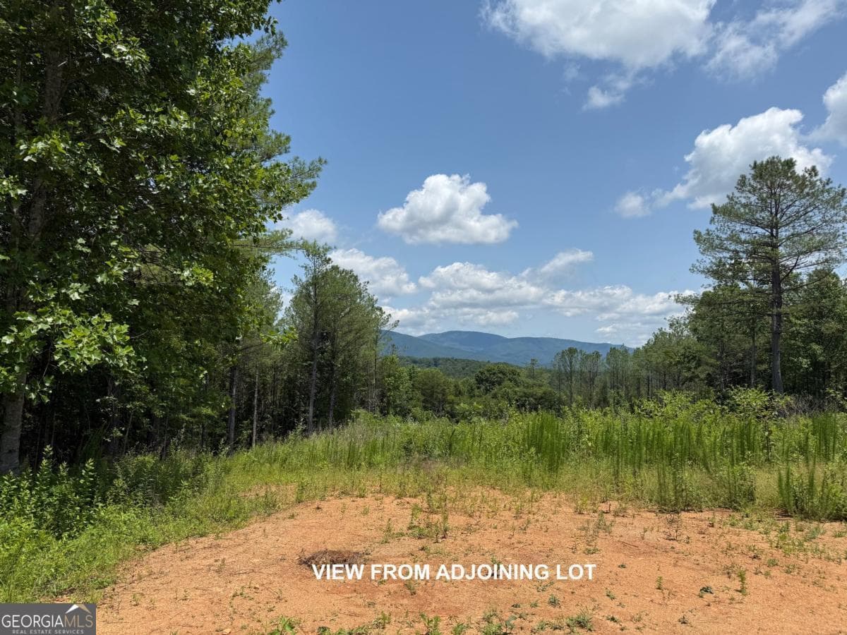 residential lot for sale at LOT E9 Reece Mountain Road, Ellijay, GA 30536 — photo 4