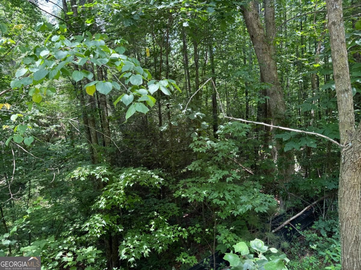 residential lot for sale at LOT E9 Reece Mountain Road, Ellijay, GA 30536 — photo 8