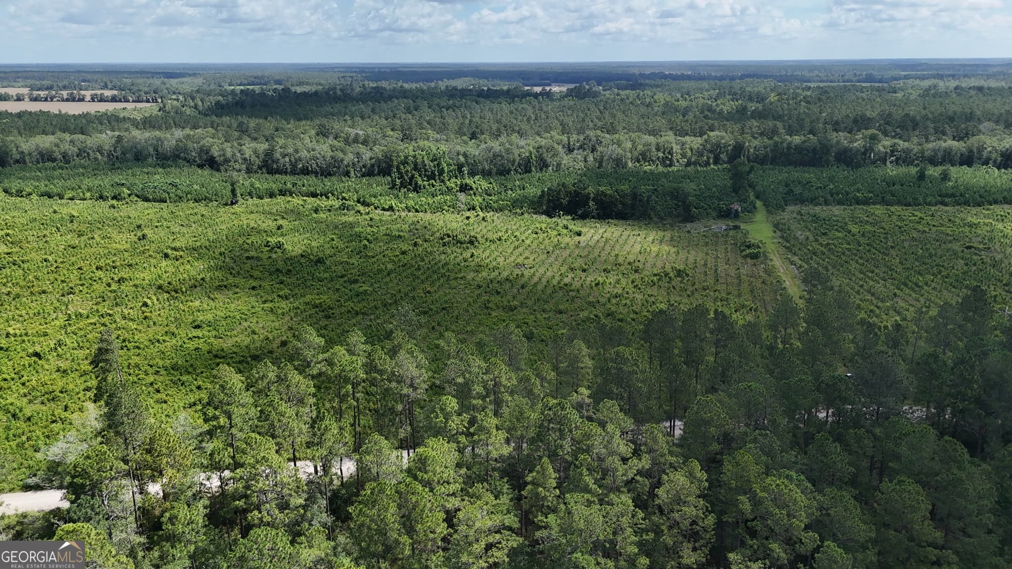 agriculture sold at TRACT 3 Bennett Mill Pond Road, Odum, GA 31555