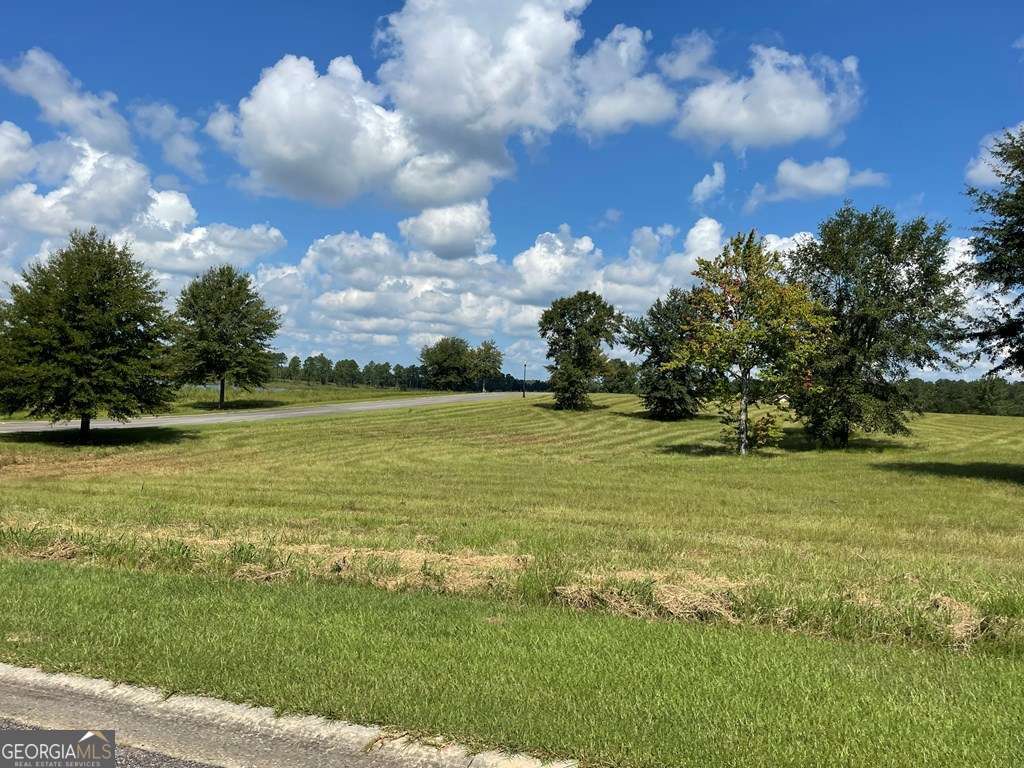 residential lot for sale at 0 Thompson Level Road, Lyons, GA 30436 — photo 3