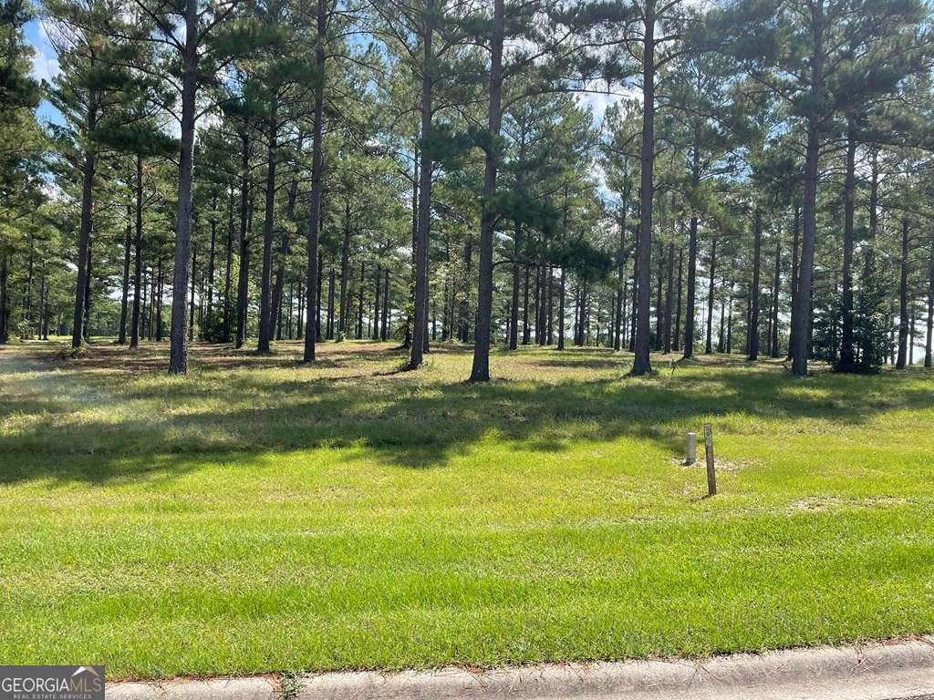 residential lot for sale at 0 Thompson Level Road, Lyons, GA 30436 — photo 5